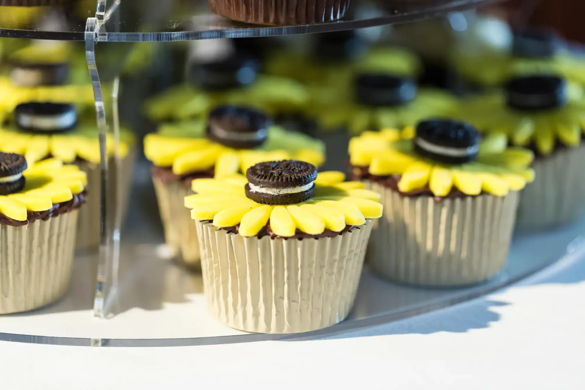 Sunflower-themed cupcakes decorated with yellow petals and a mini oreo cookie in the center, displayed under a clear cover.