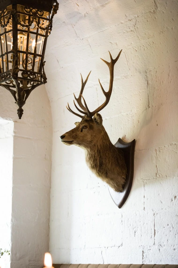 stag's head wall mounted