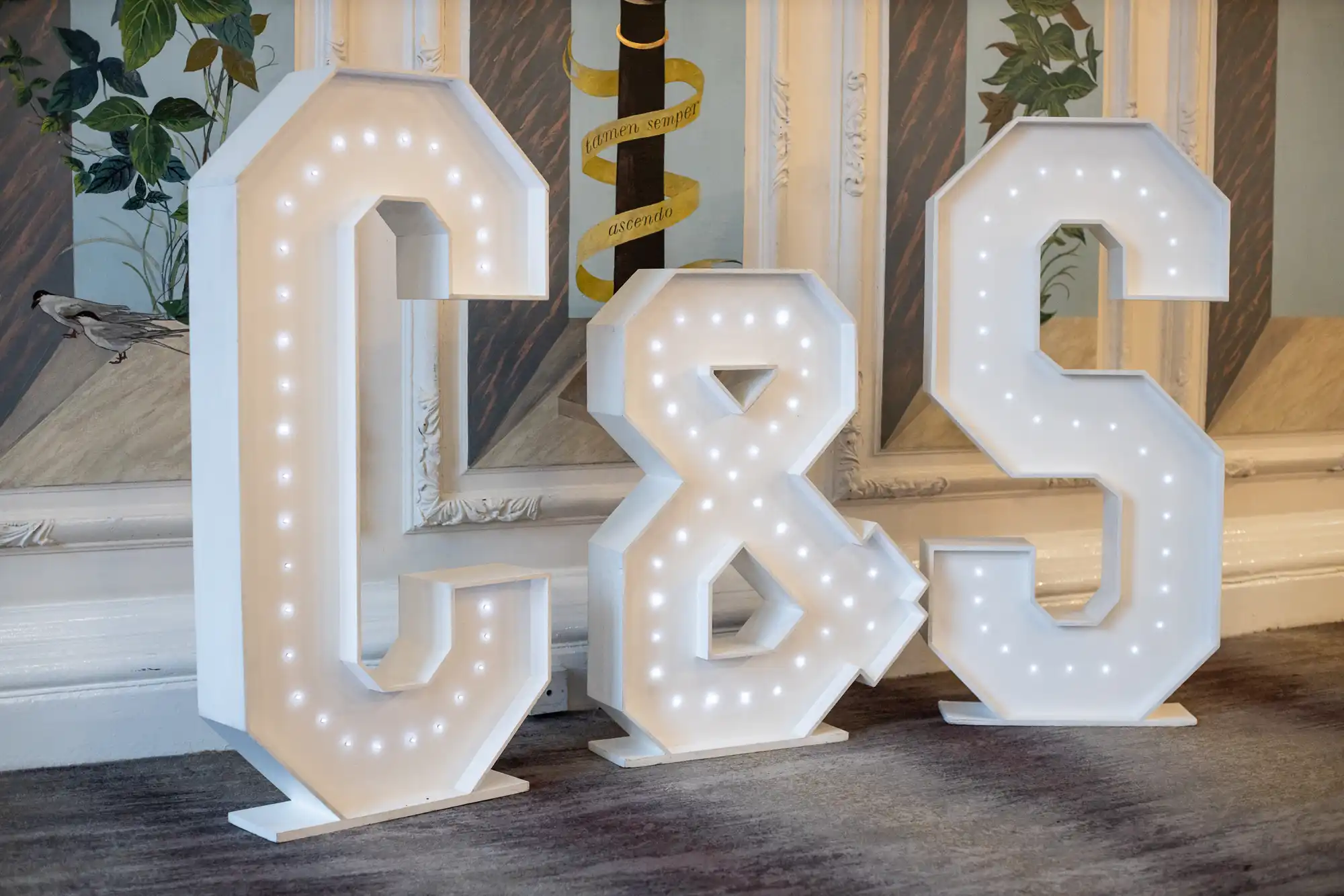 Three large illuminated white letters, "C," "&," and "S," are displayed on a carpeted floor against a decorative wall background.