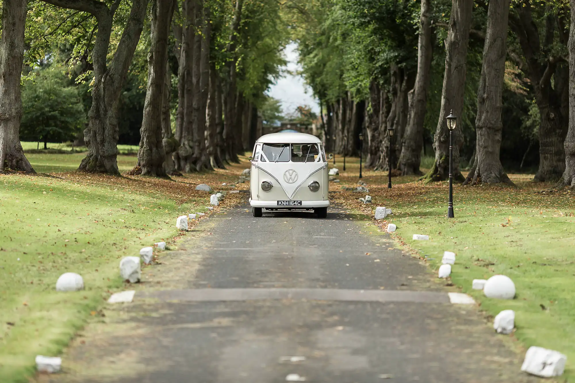 A vintage white volkswagen van drives down a tree-lined avenue, with greenery and spaced-out white stones on either side.
