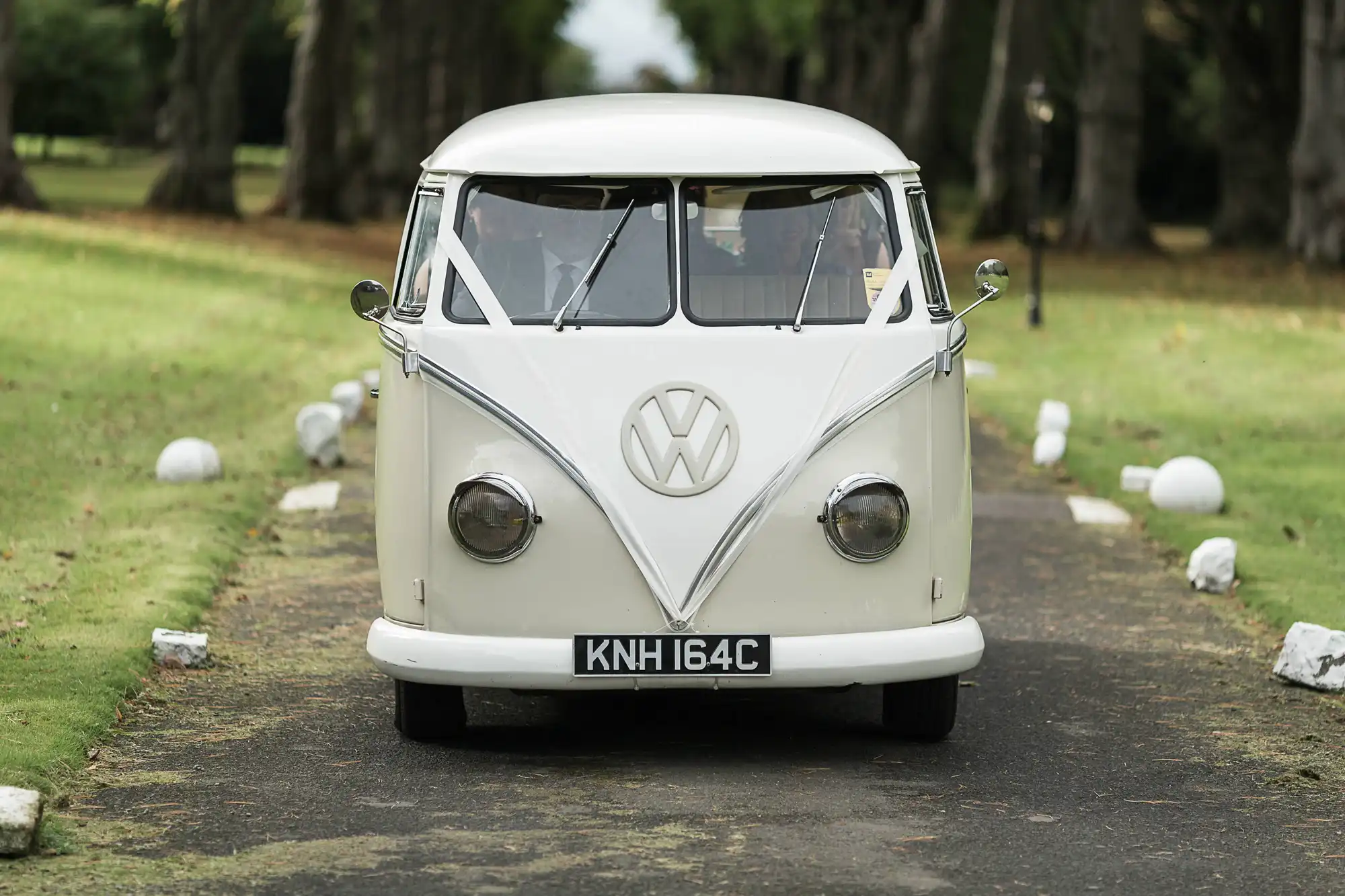 A vintage white volkswagen van parked on a tree-lined path, with license plate knh 164c.