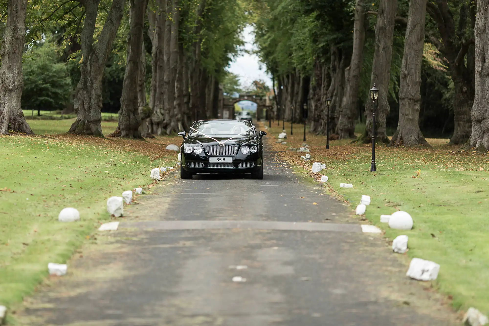 A black luxury car parked on a tree-lined path with evenly spaced trees and small white boulders on either side of the path.