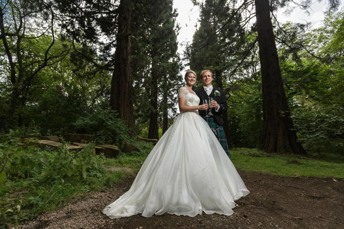 newlyweds beneath the giant Redwood trees