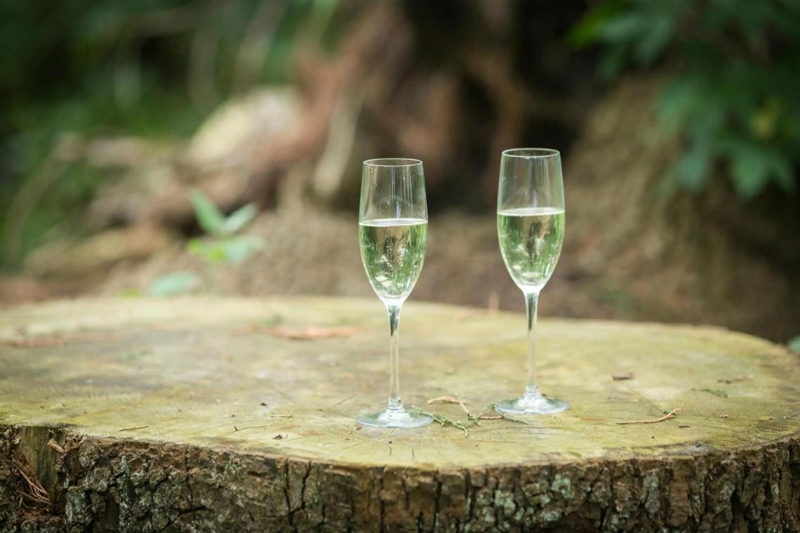 glasses of champagne beneath the giant redwood trees