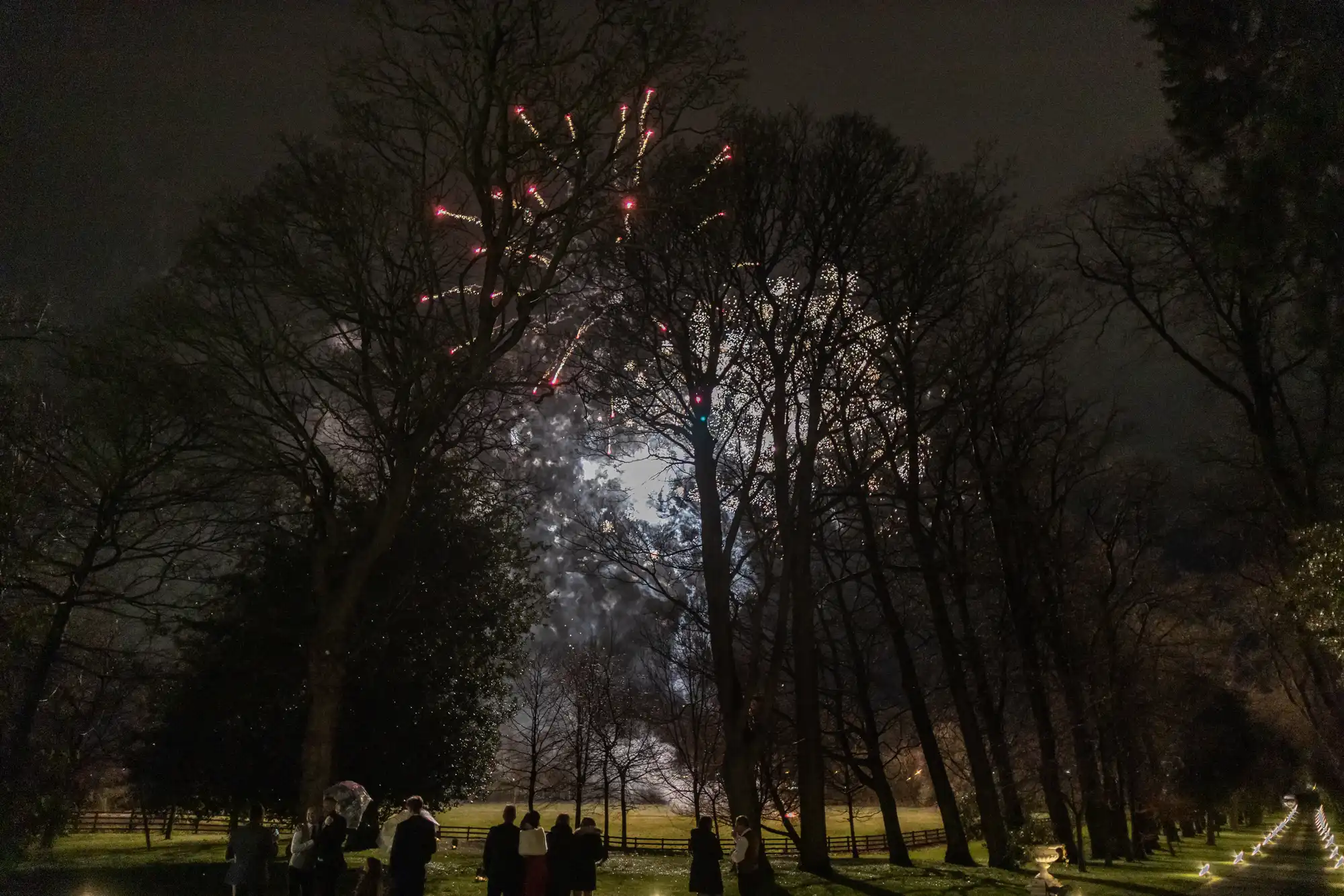 People watching fireworks through trees at night in a park.