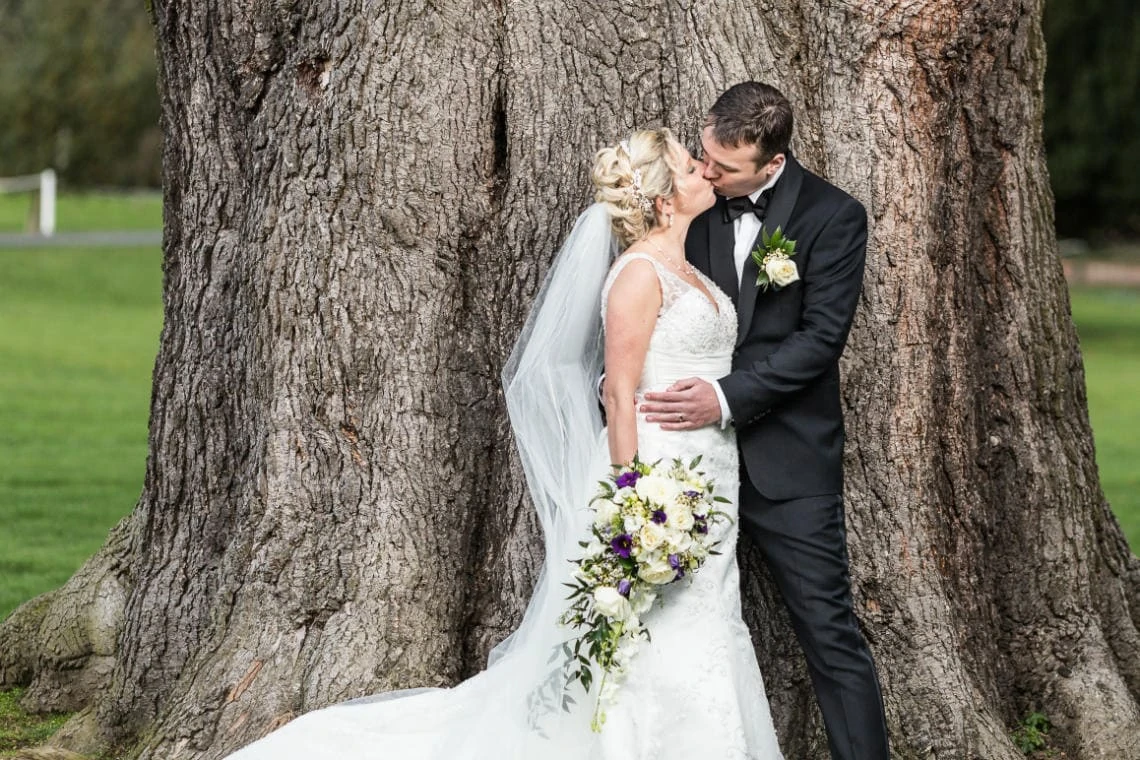 newlyweds kissing in front of the old tree on the lawn in front of the castle