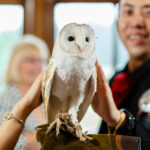 bride and groom stroking the owl after it has delivered their rings