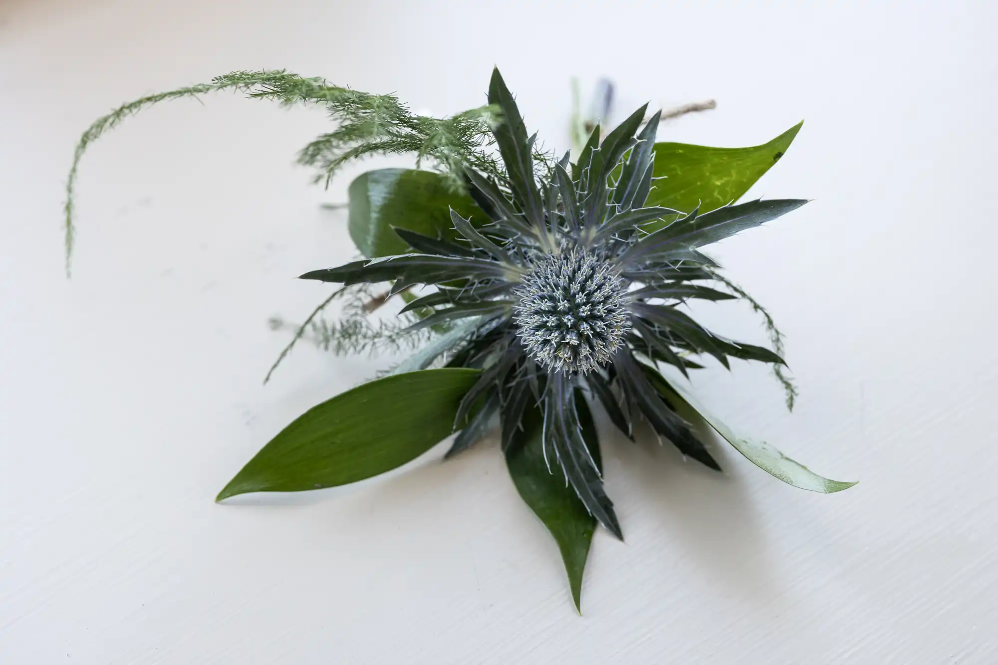 A single blue thistle flower with green leaves and fern sprigs lies on a white surface.