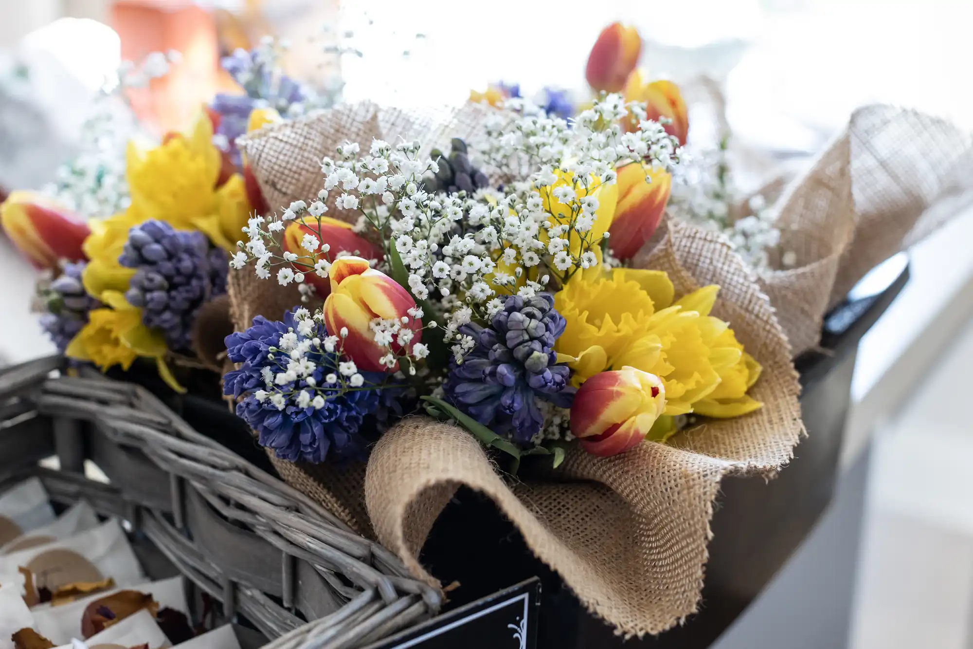 A bouquet featuring red and yellow tulips, yellow daffodils, blue hyacinths, and white baby's breath wrapped in burlap.