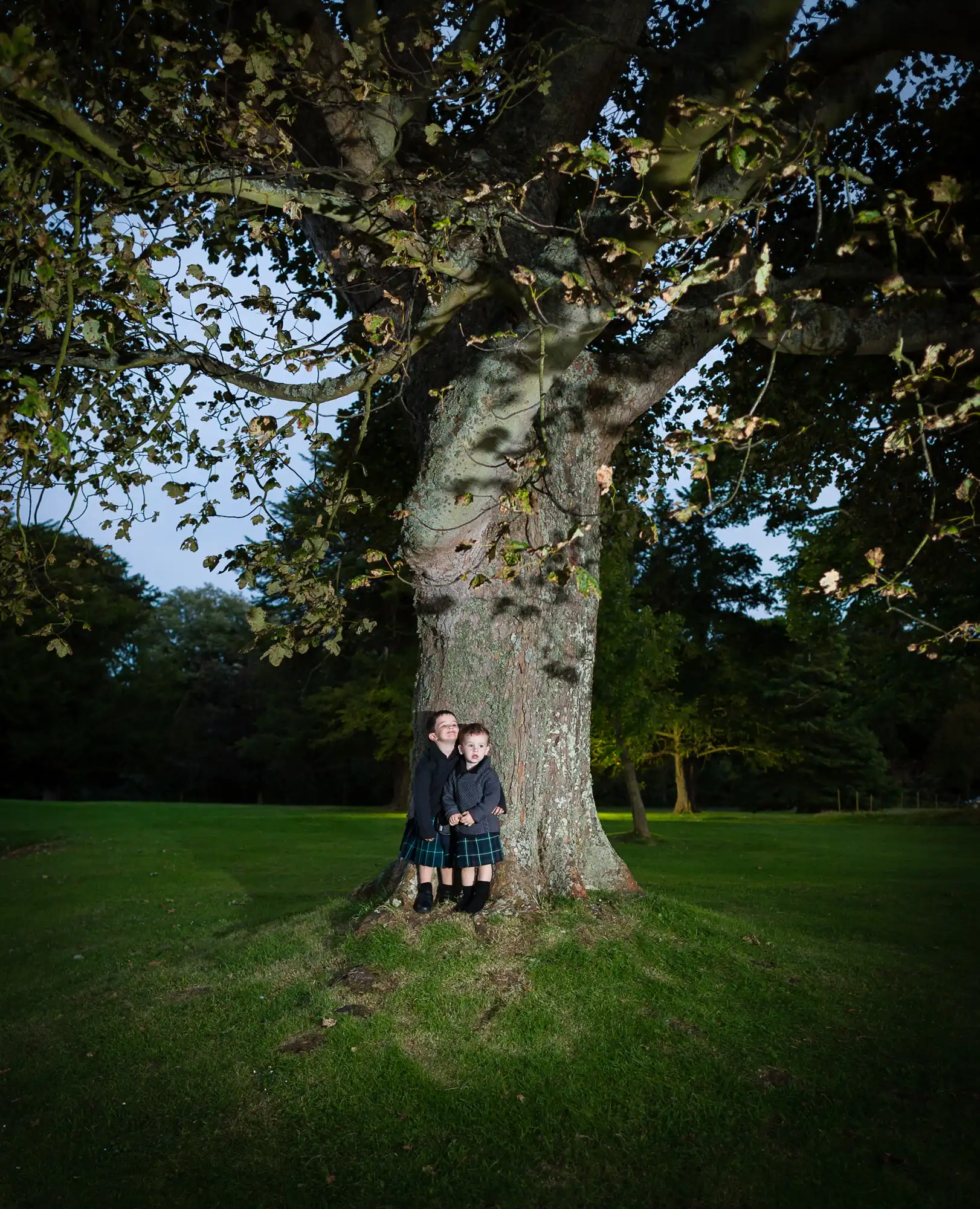 Two people embracing next to a large tree in a park at dusk, with illuminated leaves overhead.