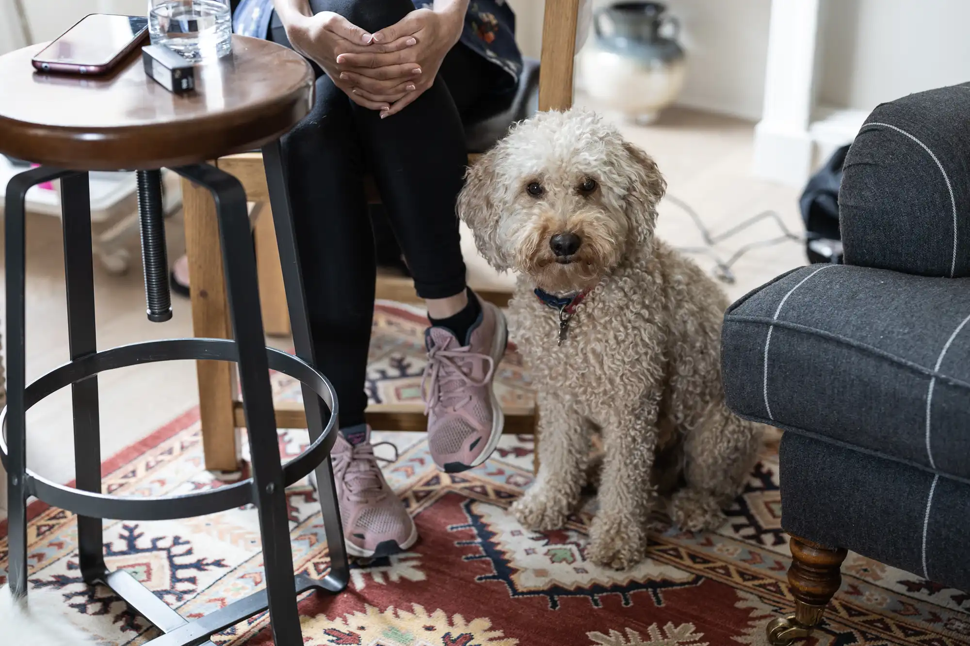 A person with crossed hands sits on a chair next to a small table, while a curly-haired dog sits on a rug beside them.