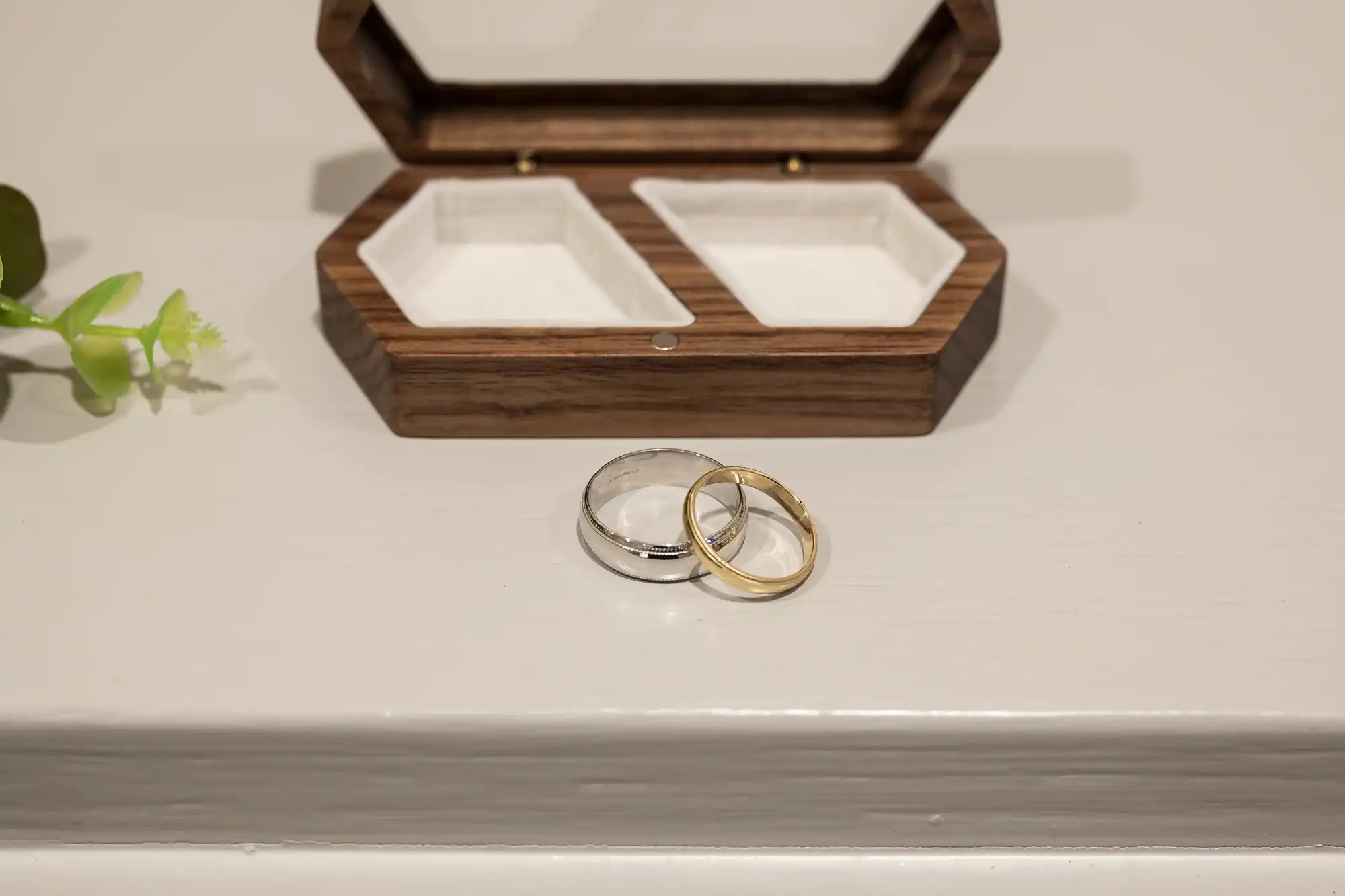 Two rings, one silver and one gold, lie in front of an open wooden ring box with a white interior. A small green plant is partially visible on the left side.