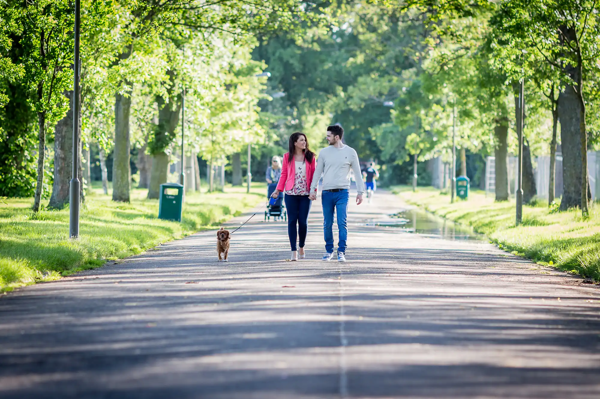 A couple walking with their small dog on a leash down a sunlit park path lined with trees.
