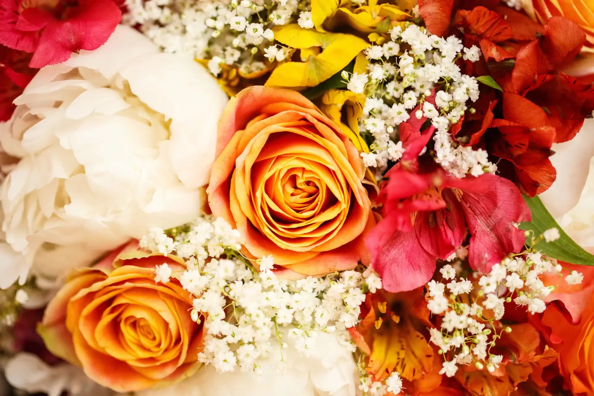 Close-up of a vibrant bouquet featuring orange roses, white peonies, red flowers, and delicate baby's breath.
