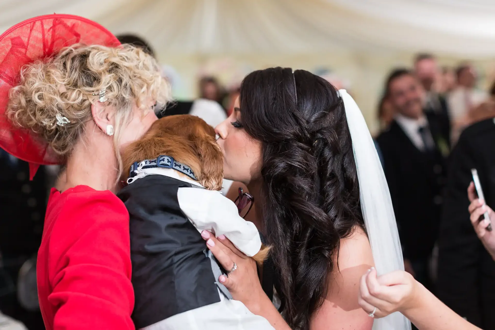 A bride kisses a small dog held by an elderly woman in a red hat at a wedding reception under a white tent.