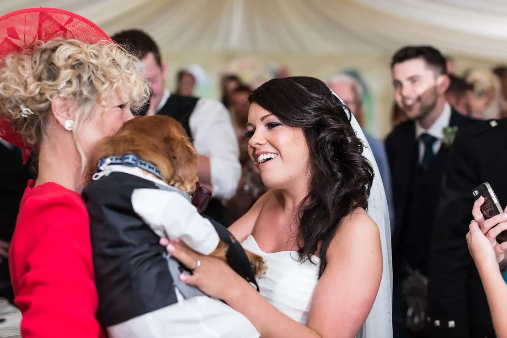 A bride smiles joyously as she receives a small dog from an older woman in a red hat at a wedding reception, while guests look on and capture the moment.