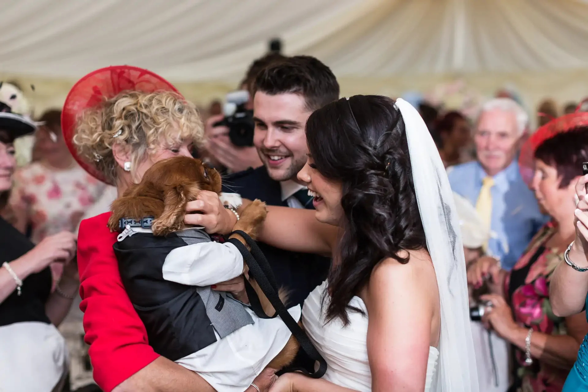Bride and groom smiling and interacting with a small dog held by a guest at their wedding reception.