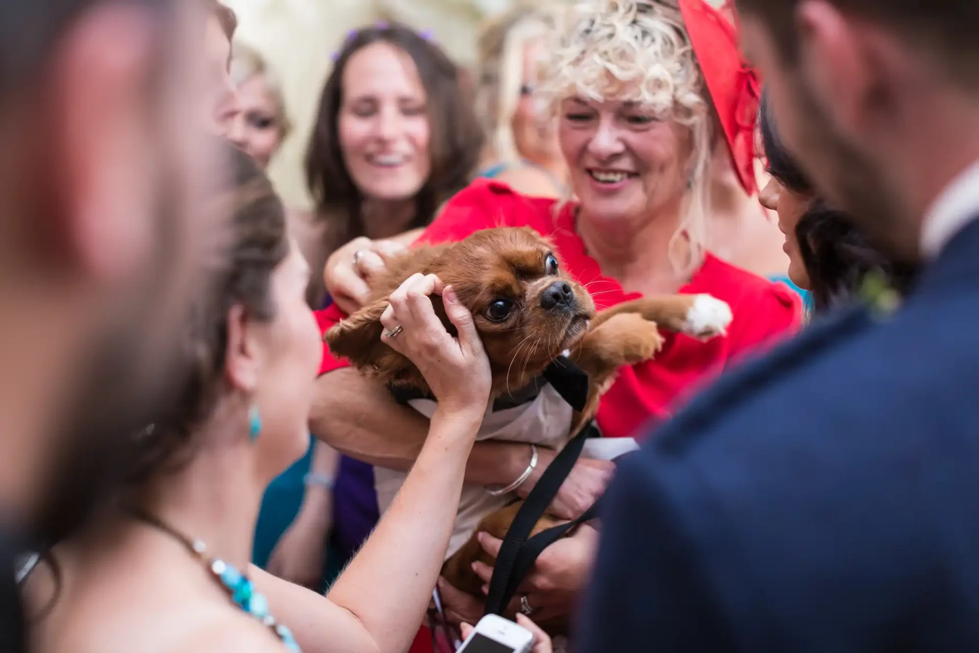 A small brown and white dog is held and petted by a smiling woman in a red hat at a crowded event, surrounded by other guests.