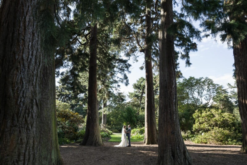 John Muir Grove newlyweds under the Redwood trees by Royal Botanic Garden Edinburgh wedding photographer
