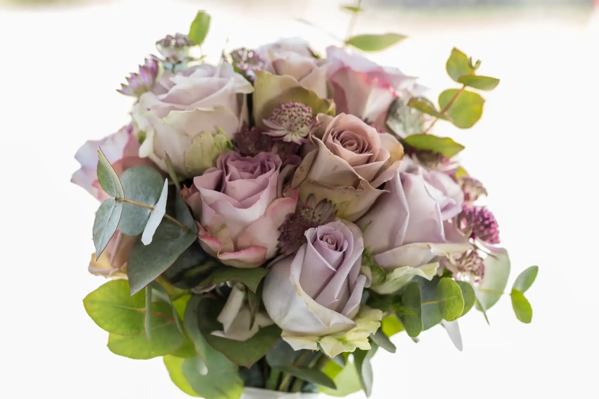 A bouquet of muted pink roses and green foliage on a light background.