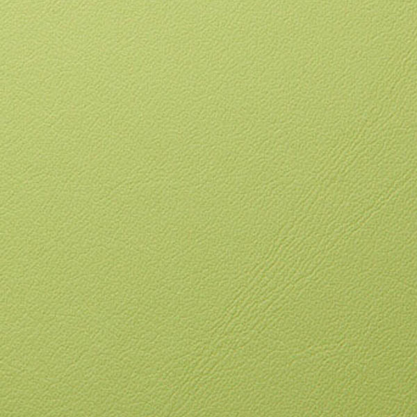 Leather Apple Green