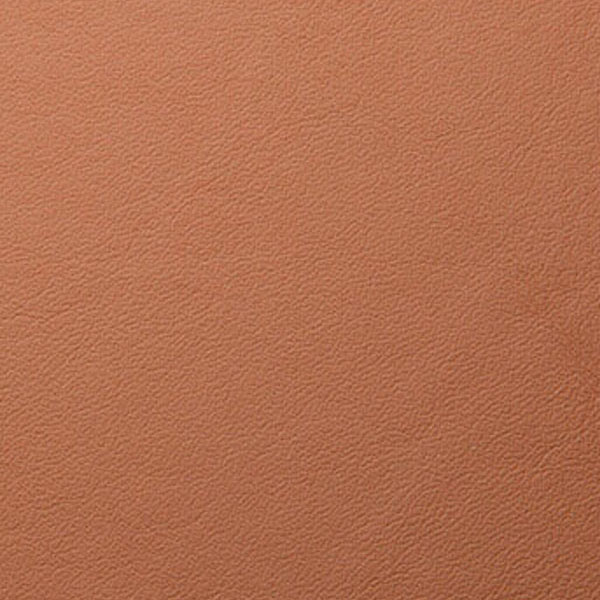 Leather Tan