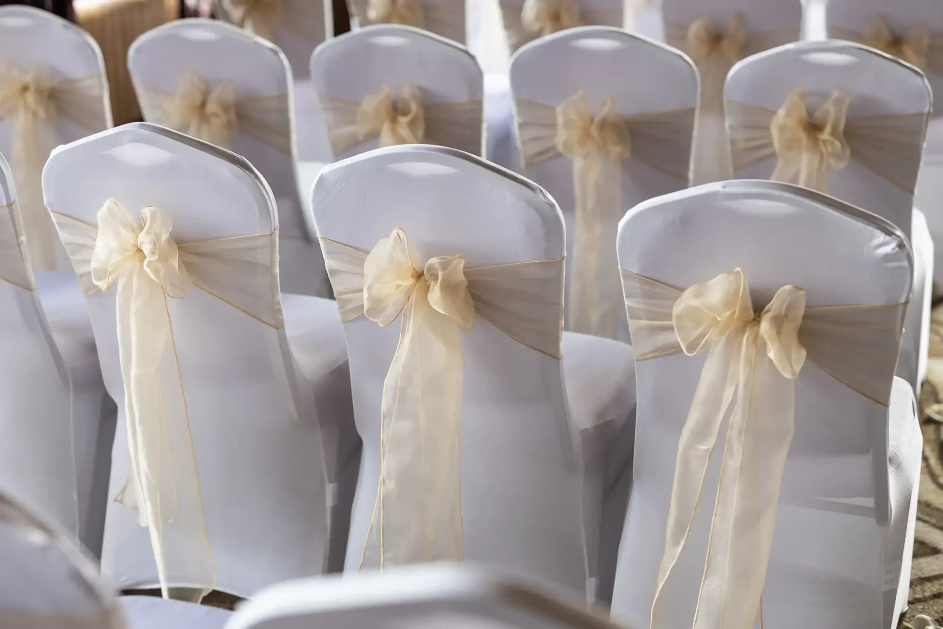 Rows of white chairs adorned with sheer beige bows, arranged for an event.