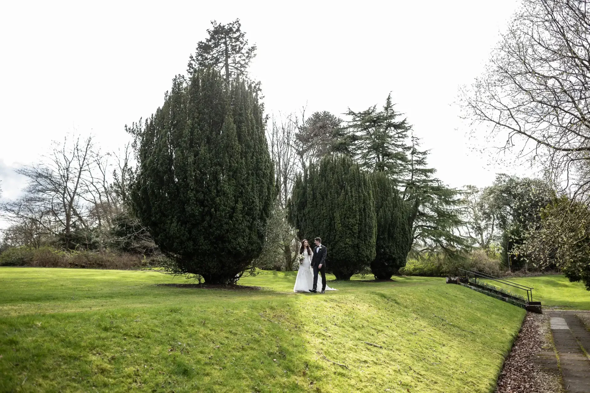 A couple walks hand in hand on a grassy hill lined with large trees, under a partly cloudy sky.