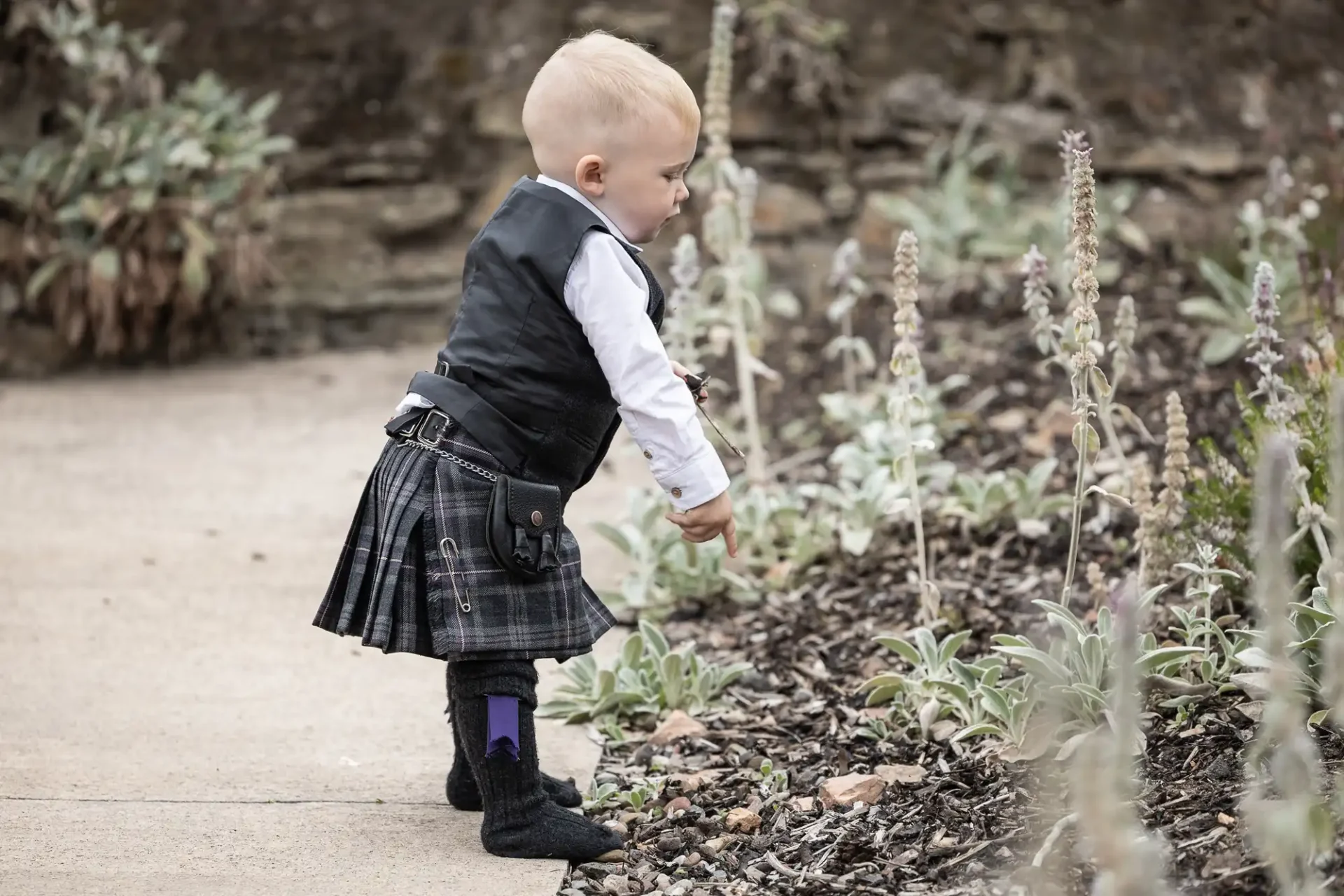 A toddler wearing a kilt and vest stands on a garden path, reaching toward plants with a stone wall in the background.