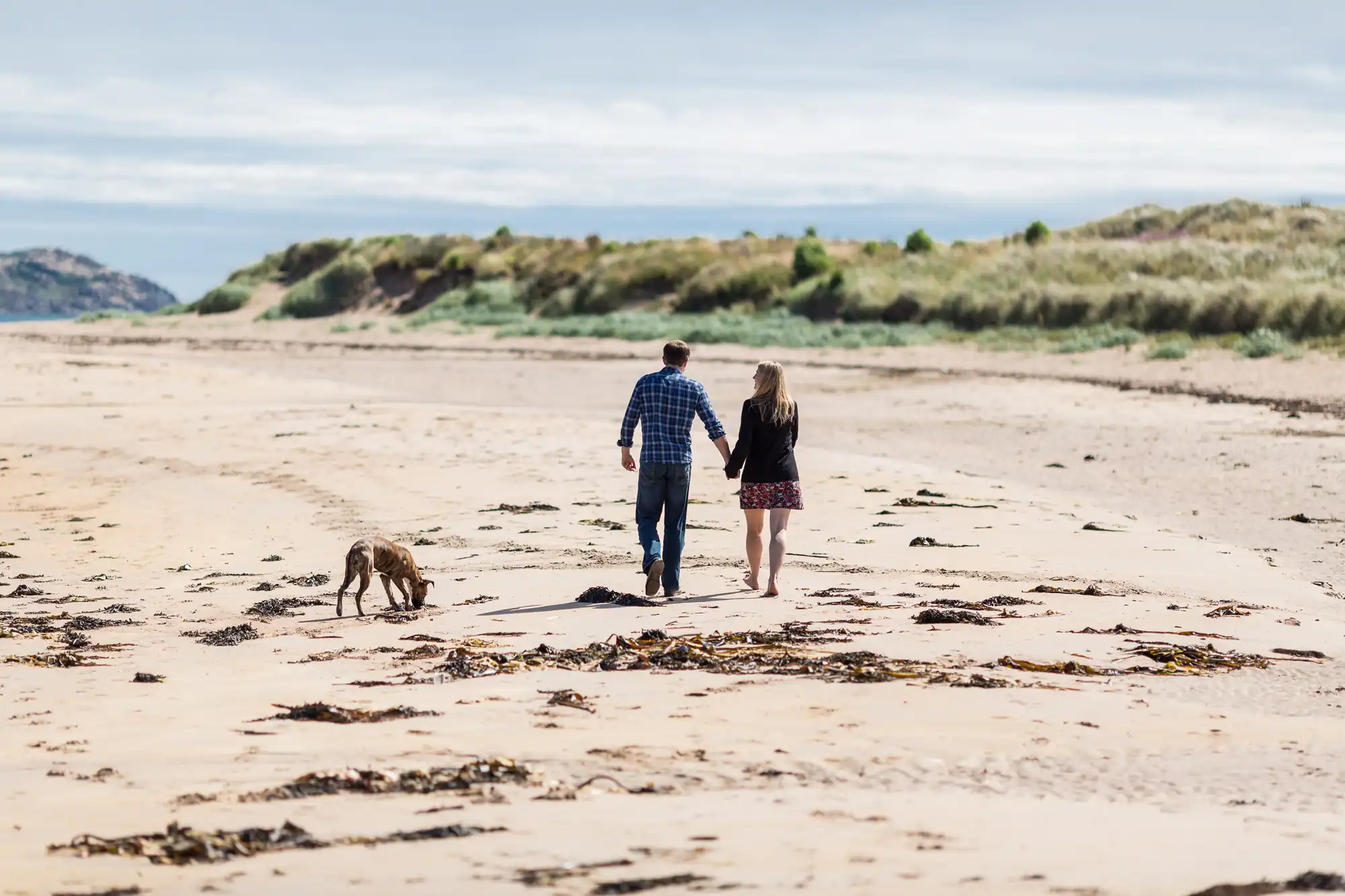 A couple walks along a sandy beach with their dog, surrounded by seaweed and sand dunes under a cloudy sky.