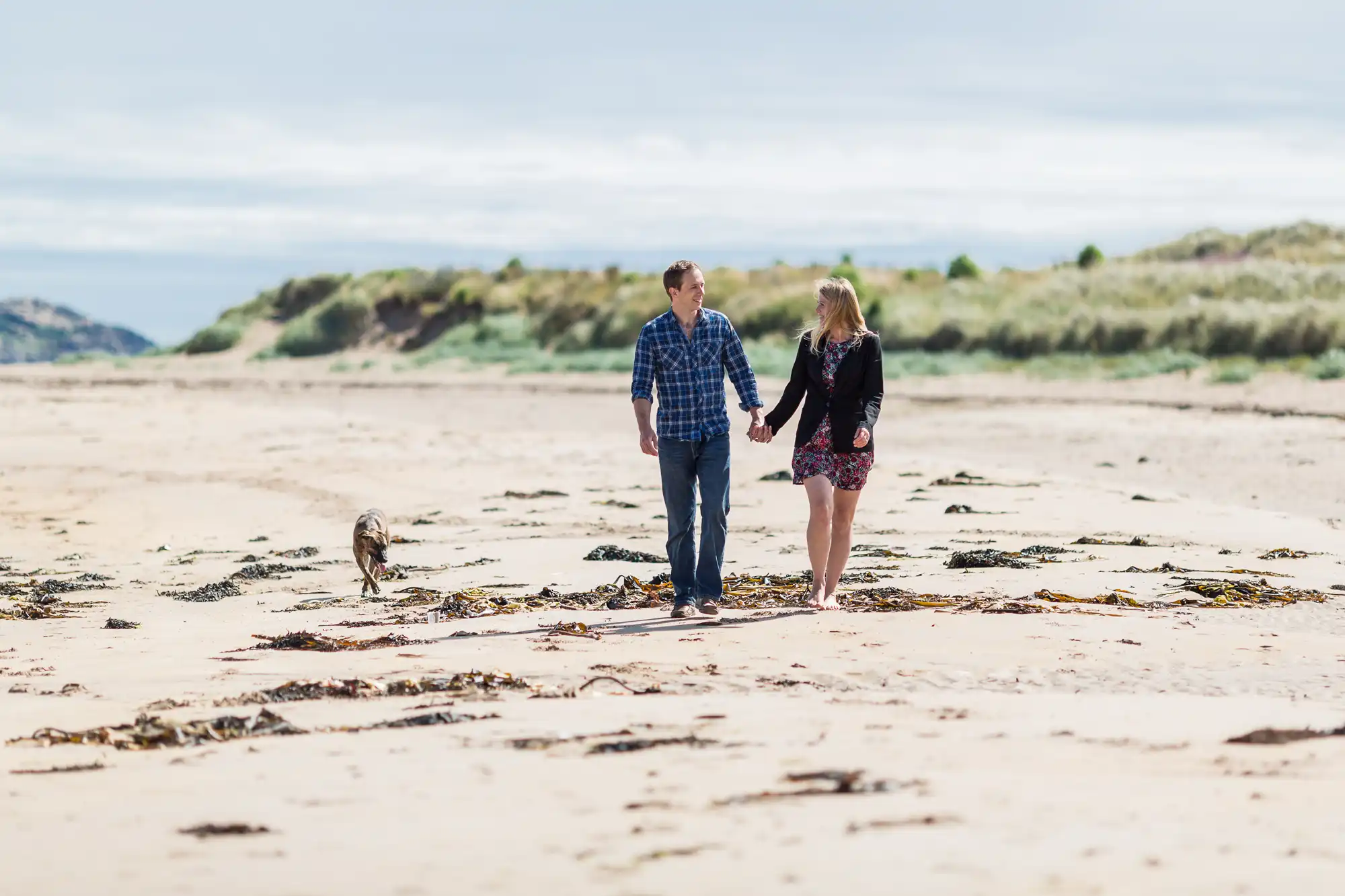 A couple holding hands walks on a sandy beach with a small dog nearby, with grassy dunes in the background.