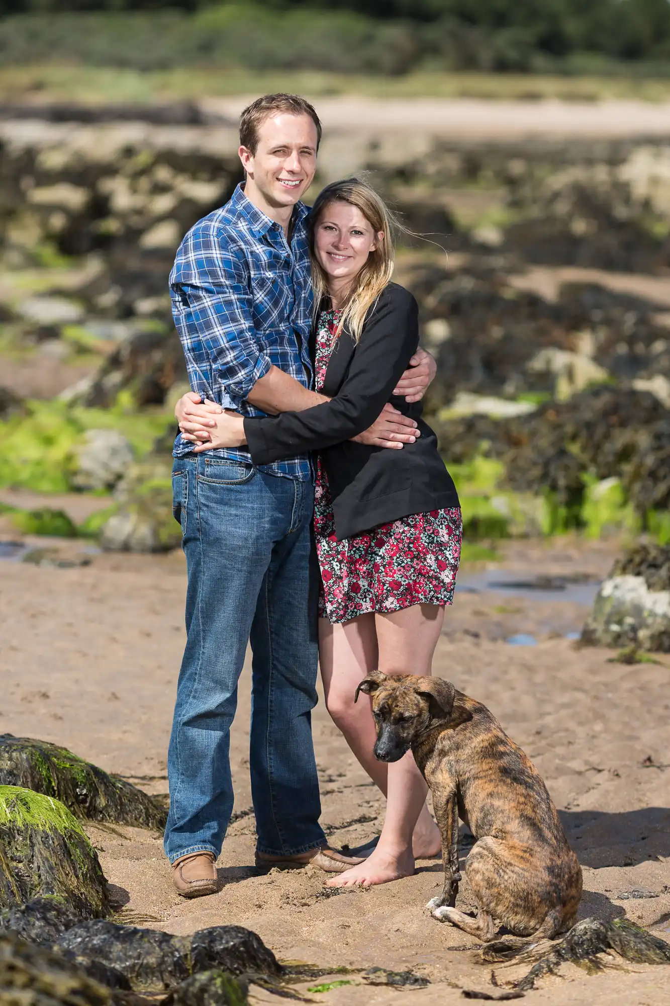 A couple embracing on a sandy beach with a brown dog sitting beside them, rocks and greenery in the background.