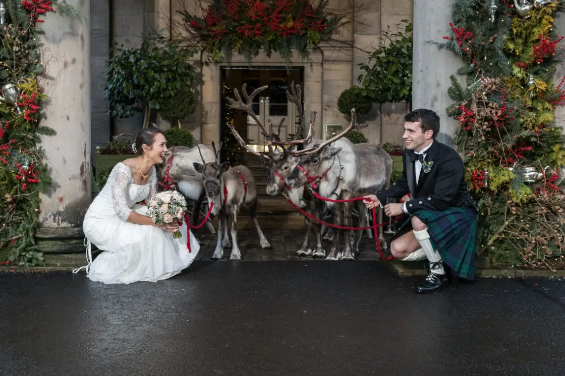 A bride and groom laughing and sitting near two reindeer at a holiday-themed wedding outside a decorated building.