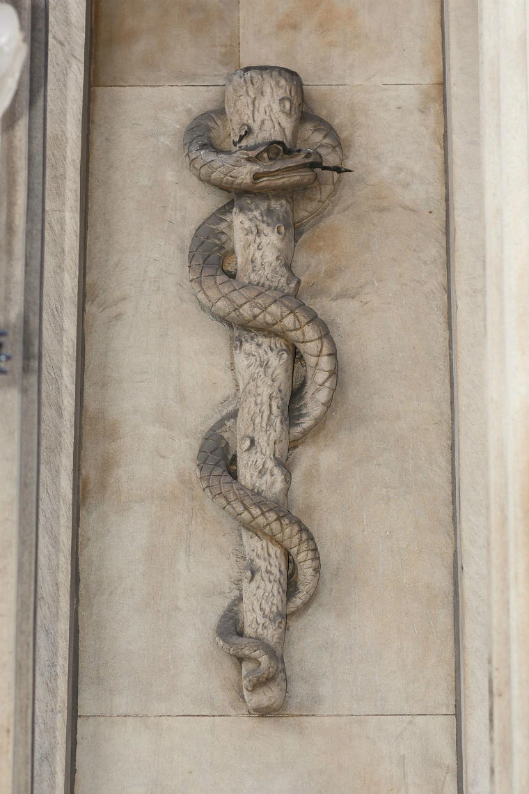RCPE snake and rod symbol carved from stone at the entrance