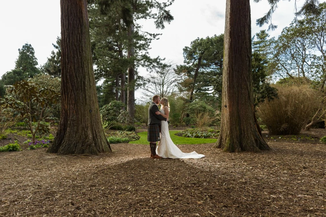 Redwood Trees In John Muir Grove newlyweds embrace