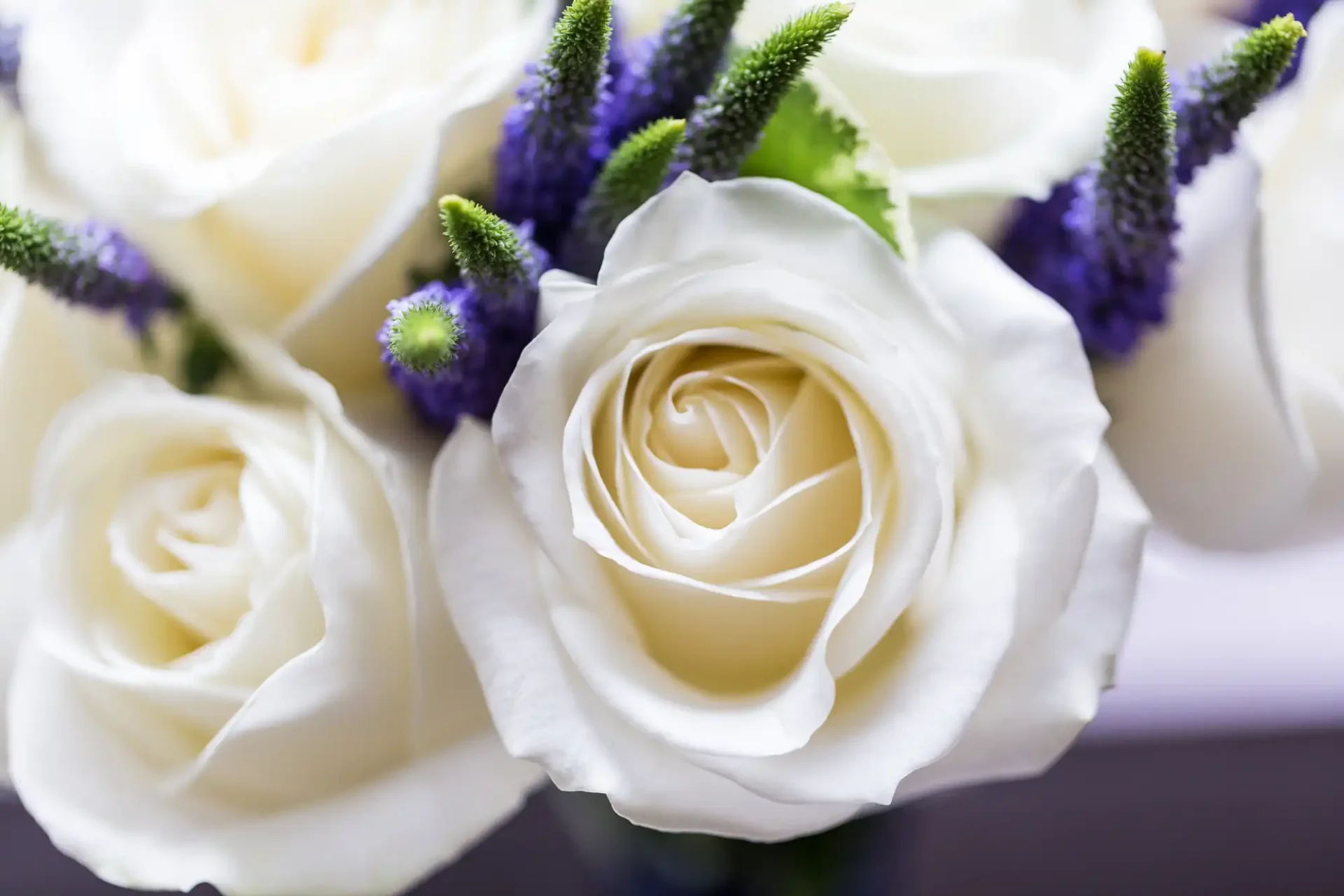 Close-up of white roses and purple flowers, highlighting the delicate textures and soft colors.