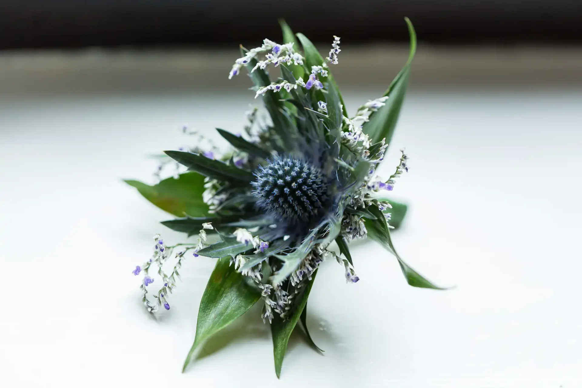 Close-up of a sea holly flower with delicate purple blooms and spiky green leaves against a soft white background.