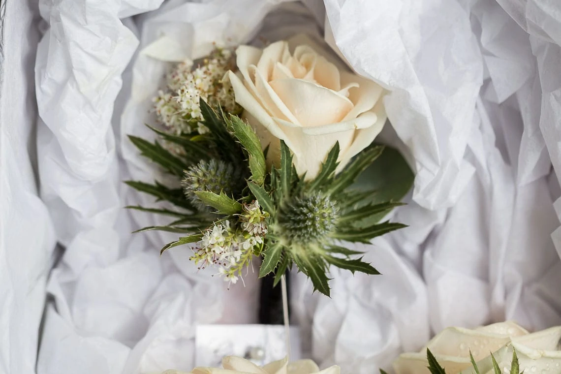 groom's buttonhole rose and thistle