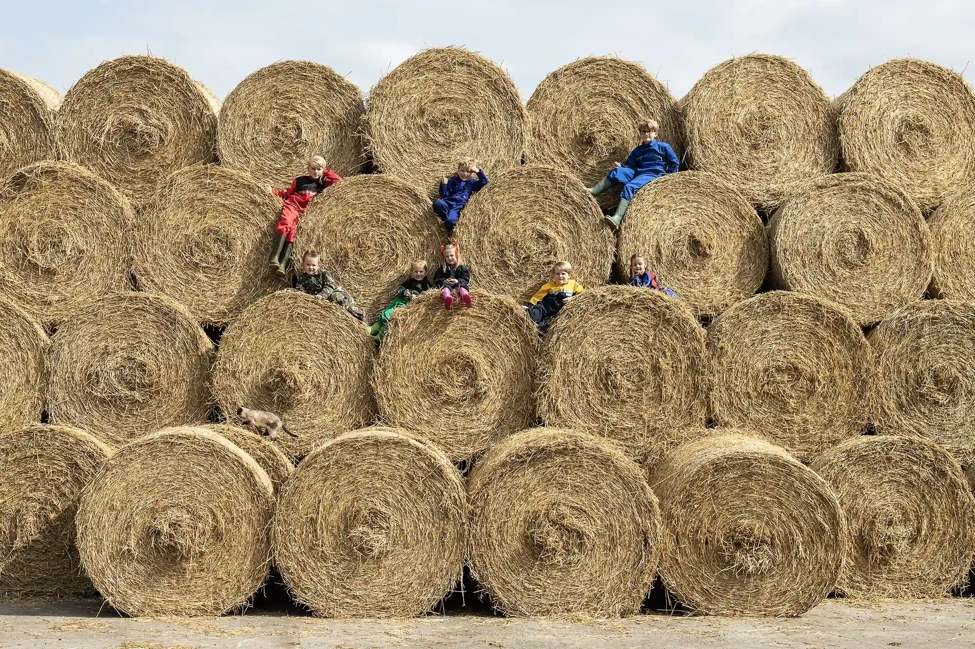 A group of people lie and sit on large cylindrical hay bales stacked in a pyramid formation.