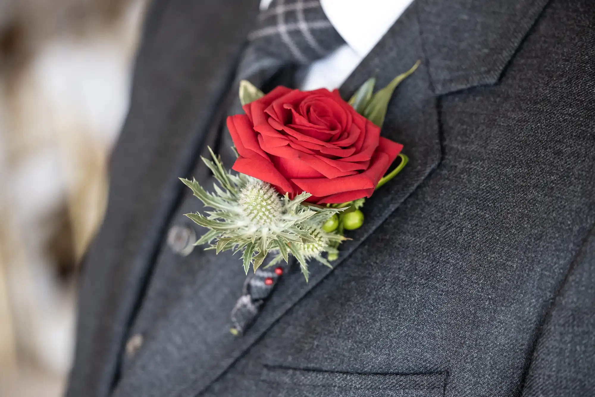 A close-up of a person wearing a dark grey suit, white shirt, and checked tie. A red rose buttonhole with green leaves and spiky white accents is pinned to the suit's lapel. The background is softly blurred.