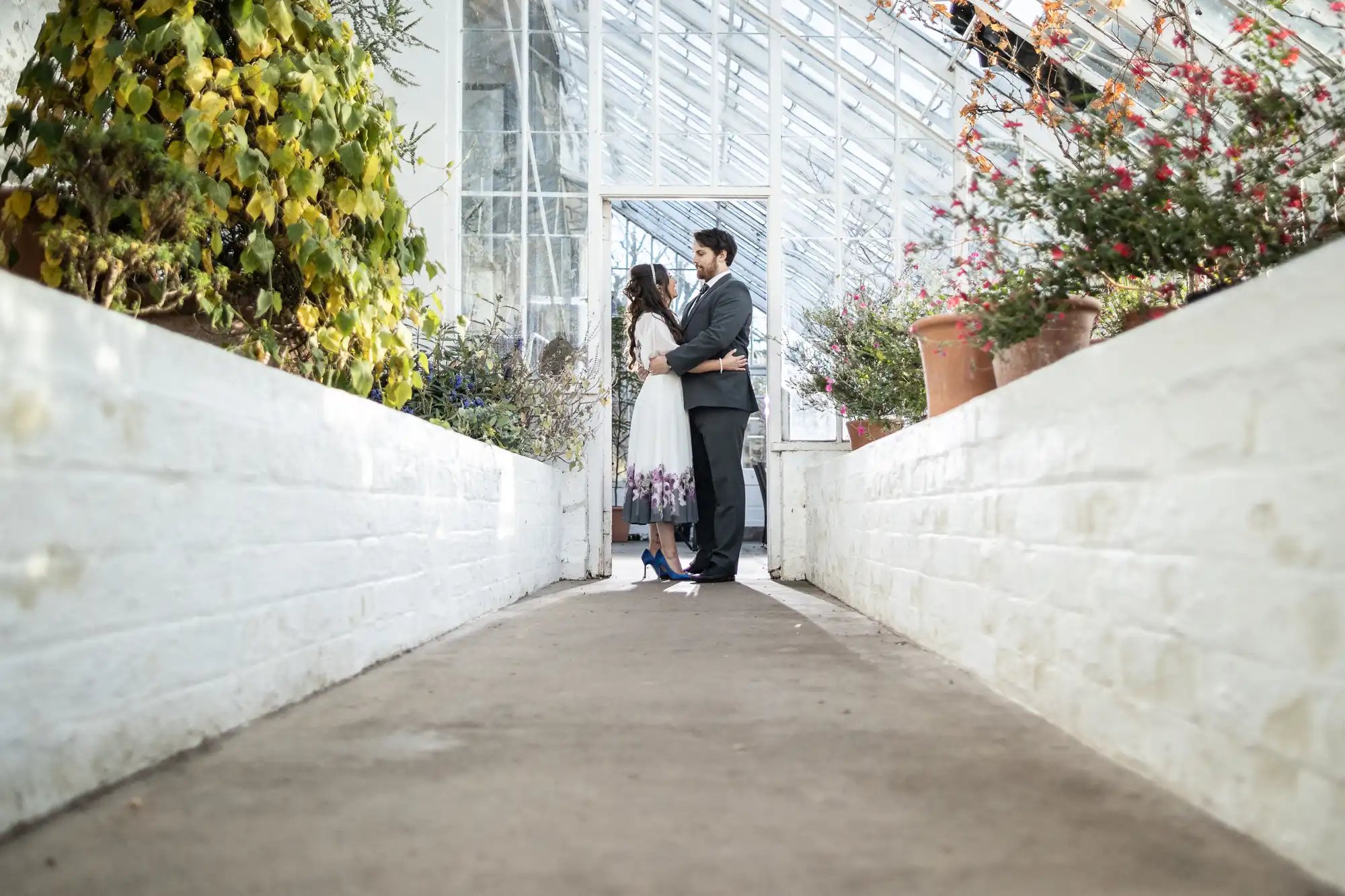 A couple stands embracing in a bright glasshouse walkway. The woman wears a white dress with floral details and blue shoes, while the man wears a dark suit. Lush plants line both sides, and sunlight pours through glass windows above.