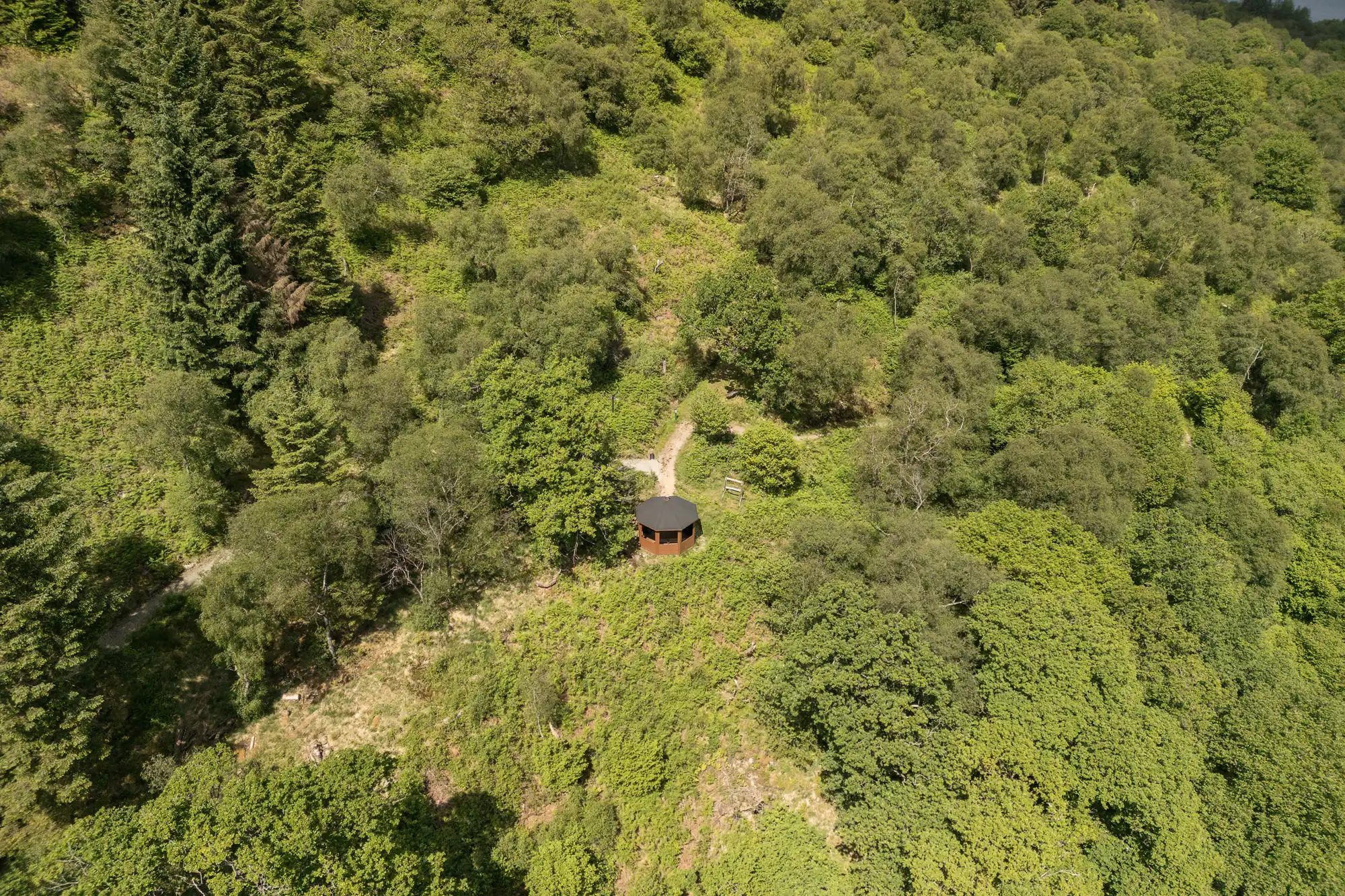 A small, round wooden hut with a dark roof sits in a forest clearing, surrounded by dense green trees on a hillside. A narrow path leads to the hut through the lush foliage, with various shades of green visible in the leaves and grass.