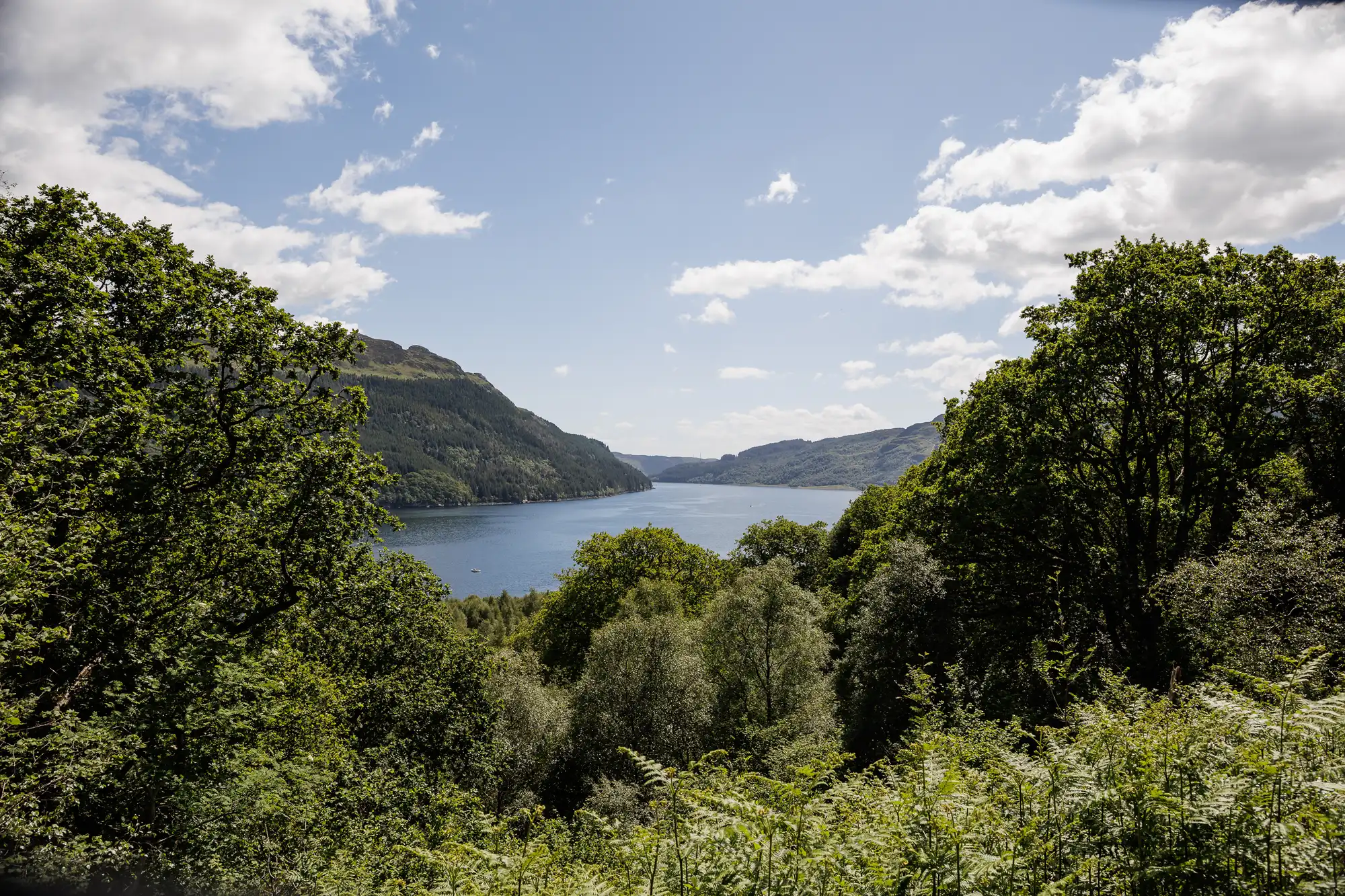 A scenic view of a tranquil lake surrounded by lush green trees and forested hills under a mostly clear, sunny sky with scattered clouds. The water stretches into the distance, bordered by rolling hills on both sides.
