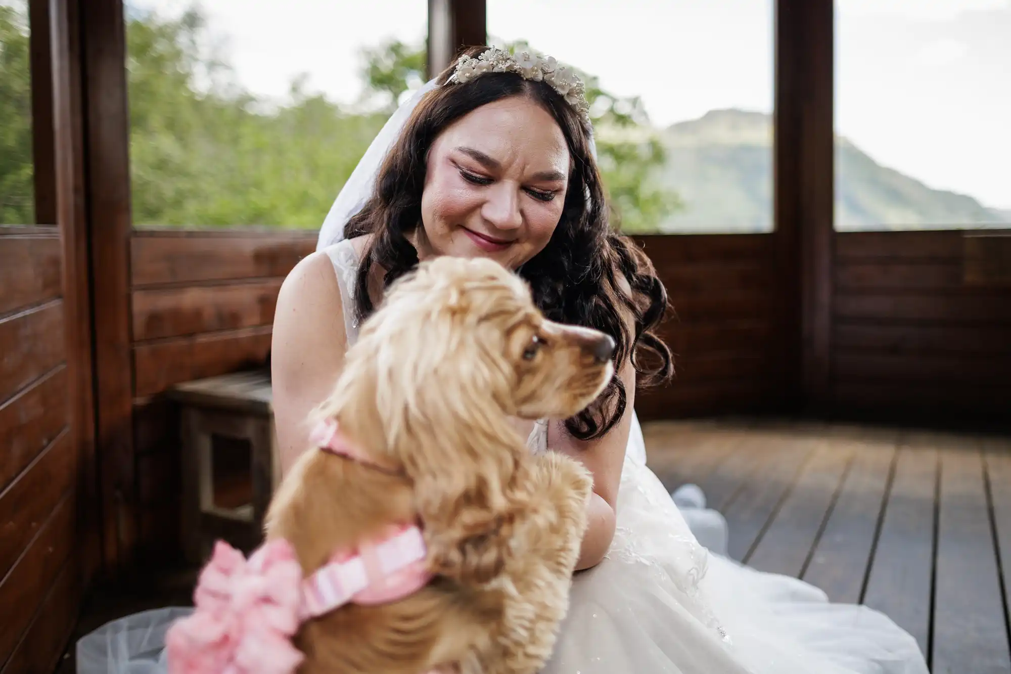 A bride in a white dress and veil smiles warmly at a brown dog wearing a pink harness with a bow. They are on a wooden veranda with large windows and a scenic, green landscape visible outside. The moment feels joyful and affectionate.