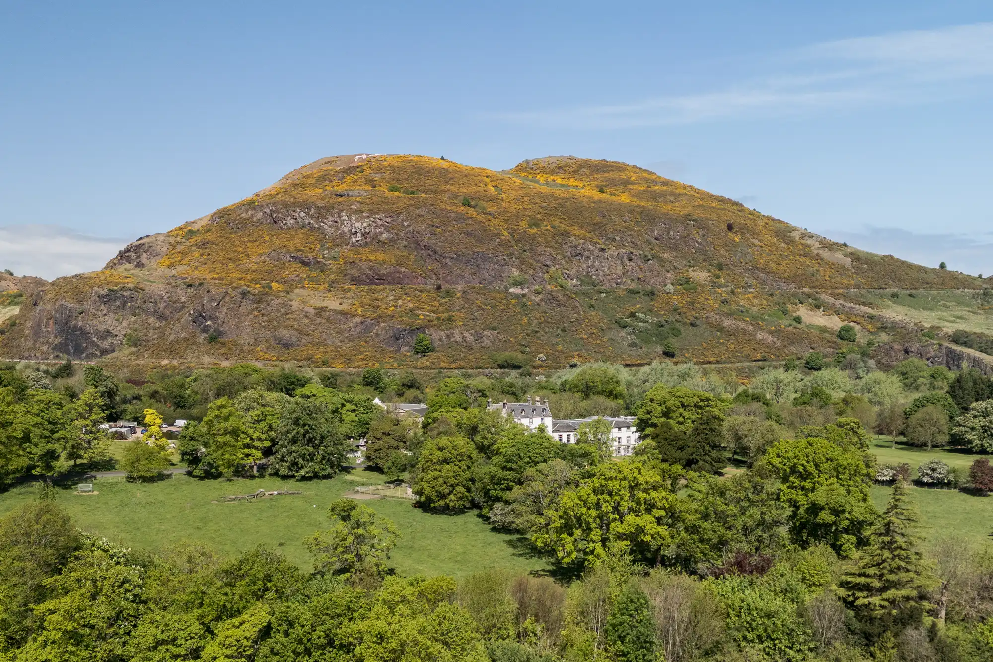 A large, green hill topped with patches of yellow flowers stands under a blue sky. At the base, a white house is partially hidden among lush trees and grassy fields in the foreground.