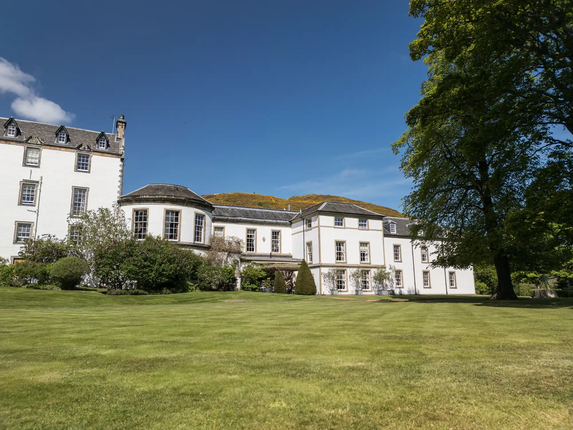 A large, elegant white mansion with many windows and a rounded bay feature sits in front of a well-manicured lawn. The sky is clear and blue, and tall green trees frame the building on the right. Some shrubs and small bushes line the mansion.