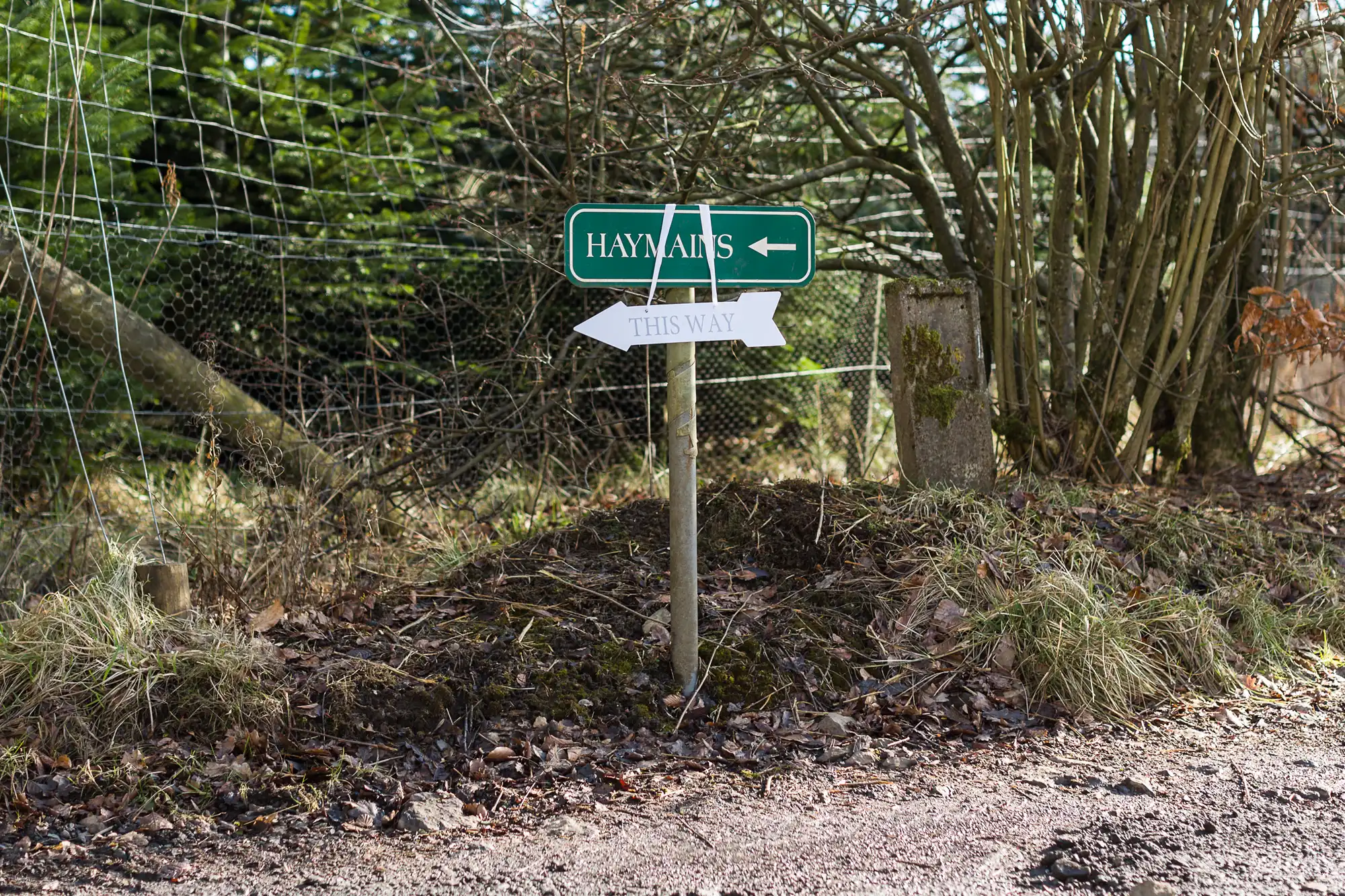 A green “HAYMANS” sign with a left-pointing arrow is mounted on a post. Below it, a white paper arrow labelled “THIS WAY” points right. The signs are beside a rural road, with grass, earth, wire fencing, and leafless trees in the background.