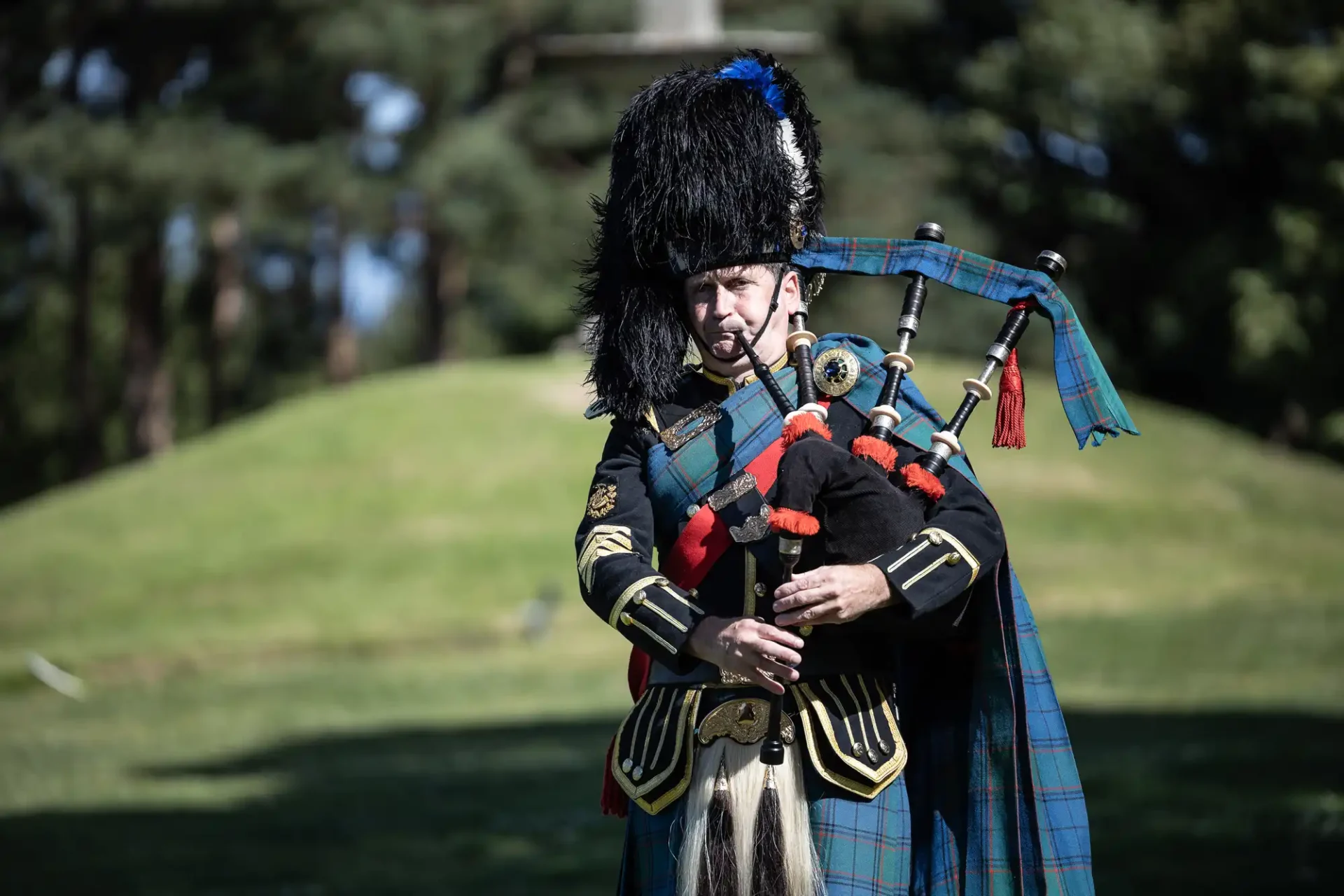 A person in traditional Scottish attire plays bagpipes outdoors on a sunny day, with trees and grass in the background.