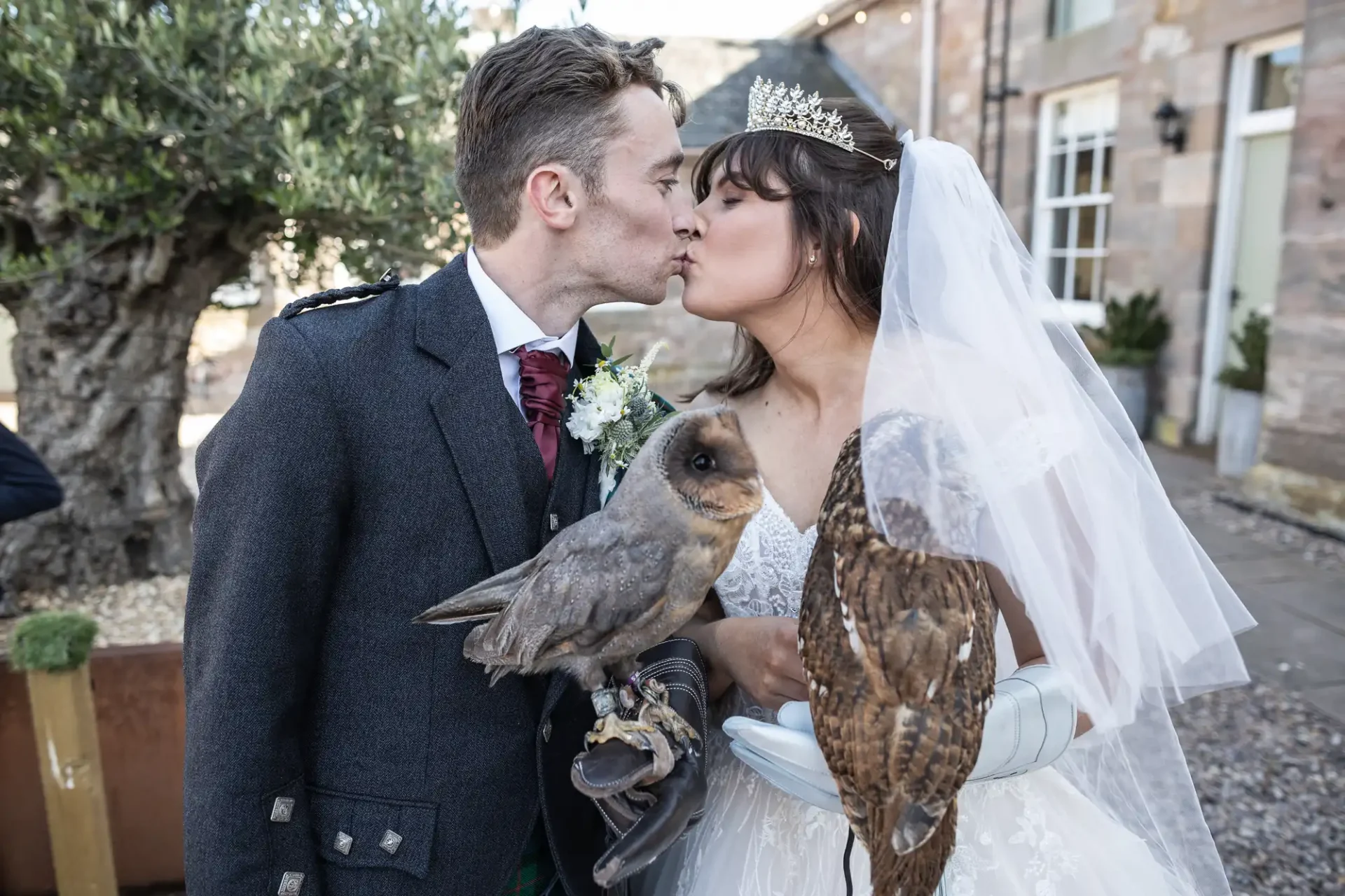 Bride and groom in wedding attire kiss outdoors, each holding a bird of prey.