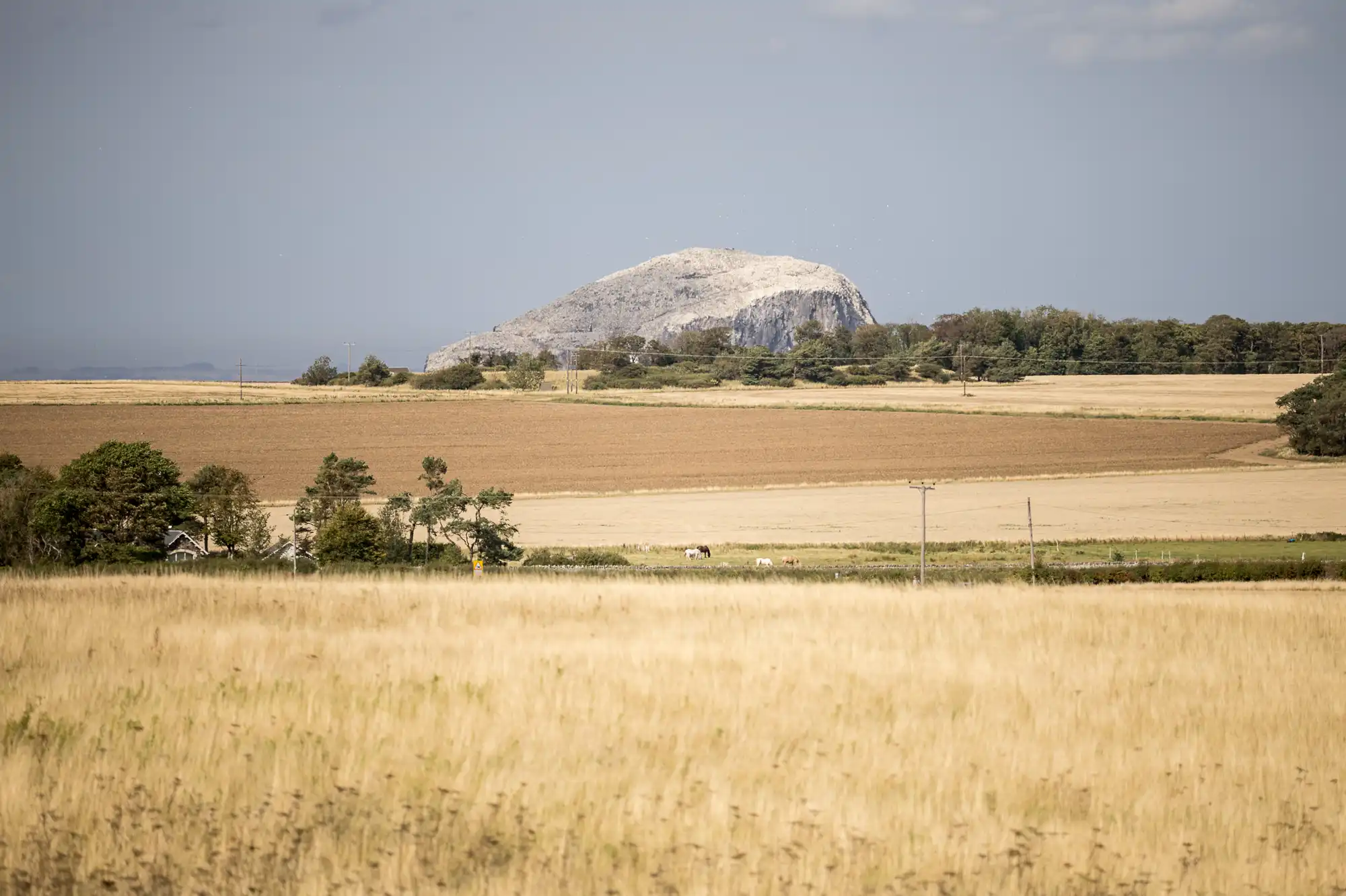 A large, grey rocky hill rises in the background beyond fields of golden wheat and brown soil. Trees and shrubs line the horizon, and a few scattered farm buildings and utility poles are visible under a pale blue sky.